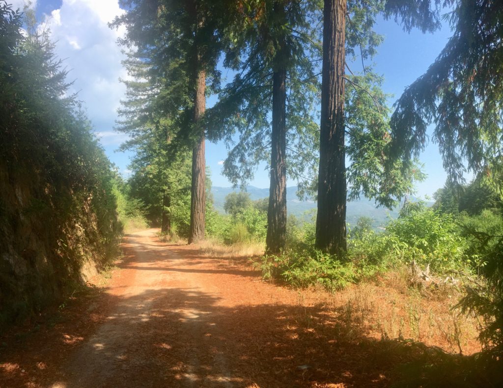 Montseny Natural Park