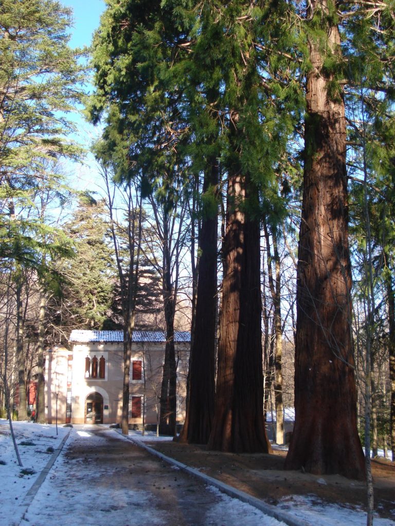 Parc Natural Montseny