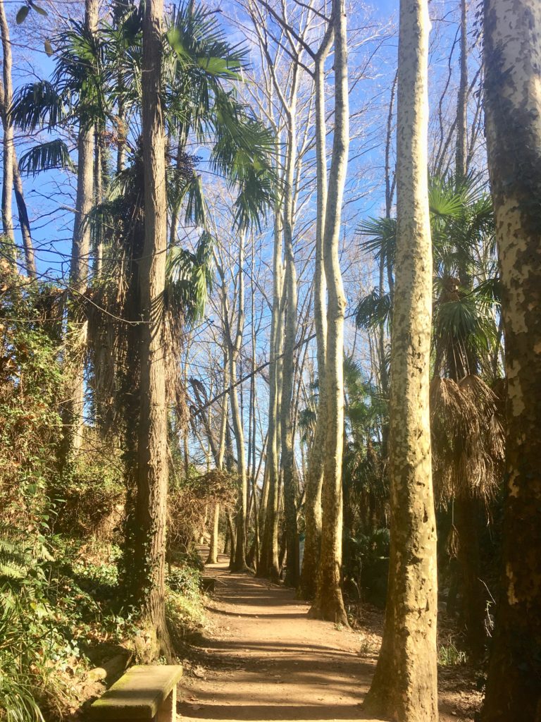 Passeig cap la Corbadora