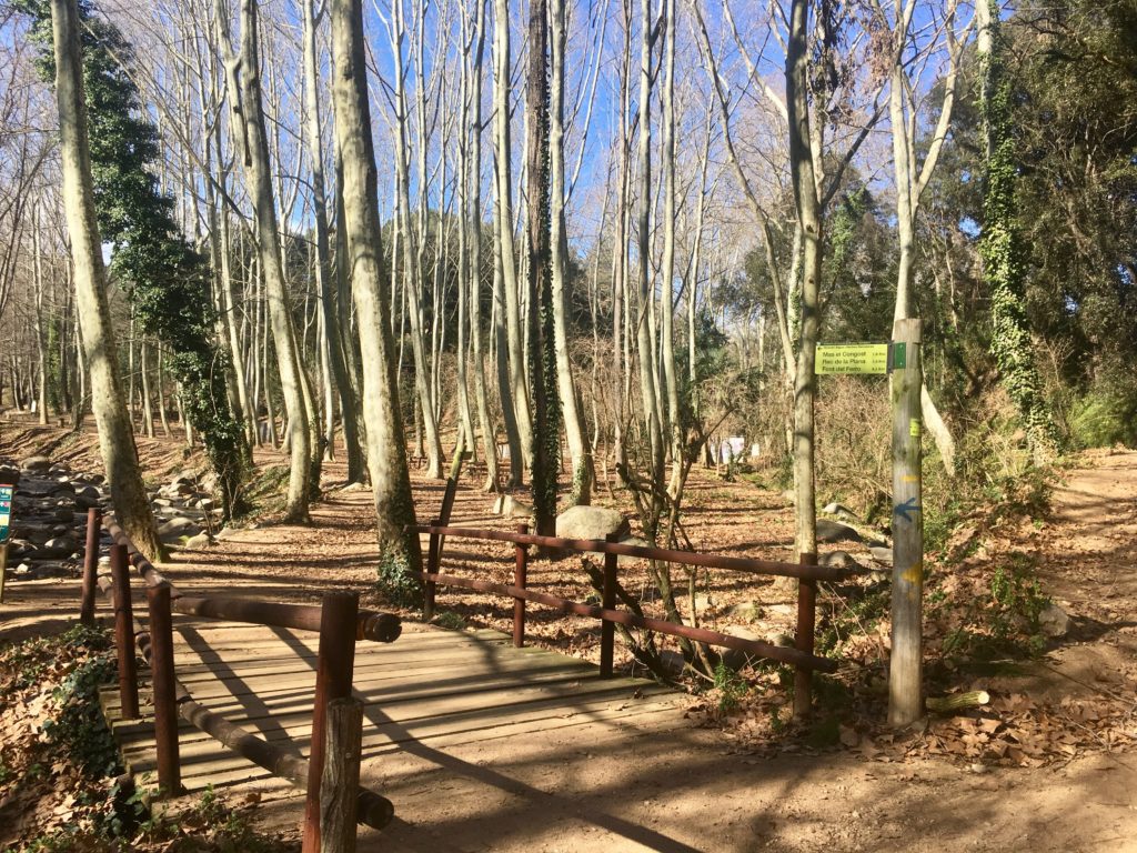 Passeig de la Riera