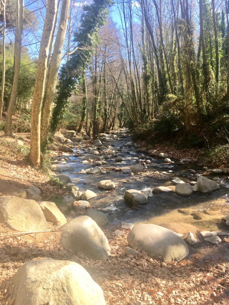 Riera d'Arbíucies