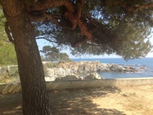 S'Agaró detall cala