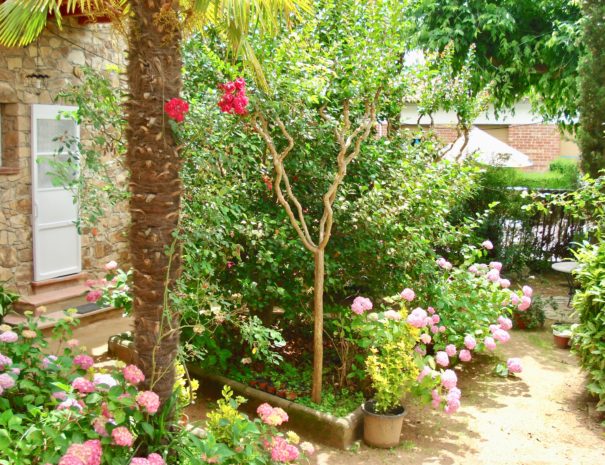 Plantes