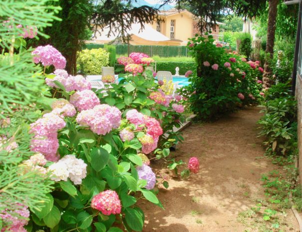 Jardí