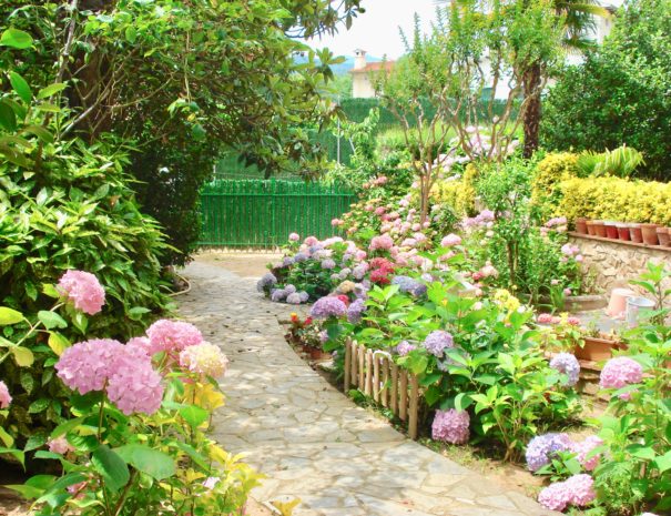 Passeig flors